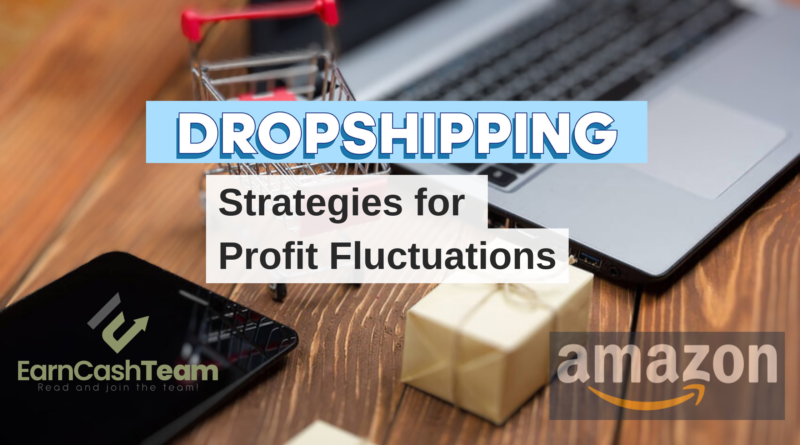 Strategies for Profit Fluctuations in dropshipping