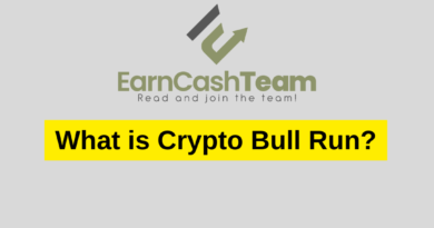 What is Crypto Bull Run