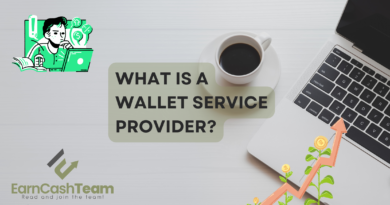 What is a Wallet Service Provider