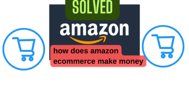 how does amazon ecommerce make money