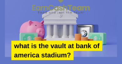 what is the vault at bank of america stadium