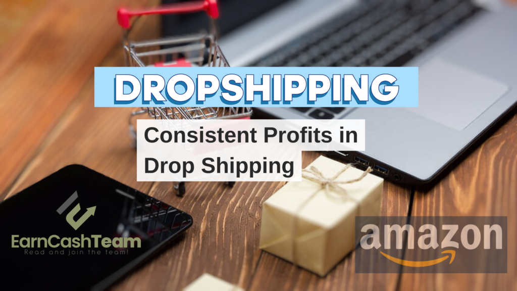 Consistent Profits in Drop Shipping