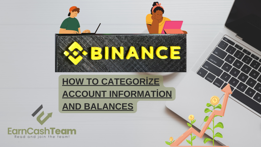 How to Categorize Account Information and Balances
